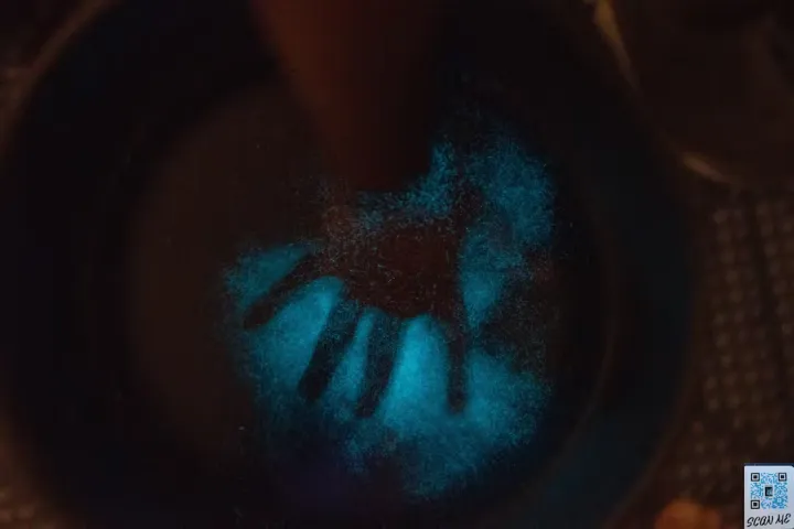 Plankton in Puerto Rico