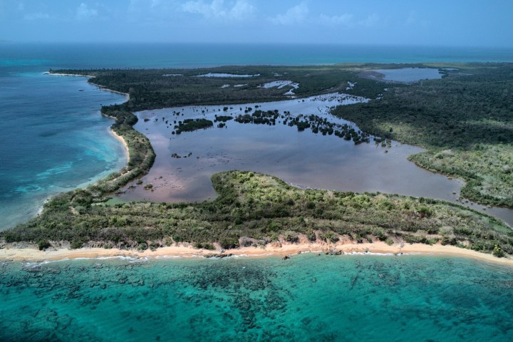 Aerial view of coastal wetland with lagoons and greenery.