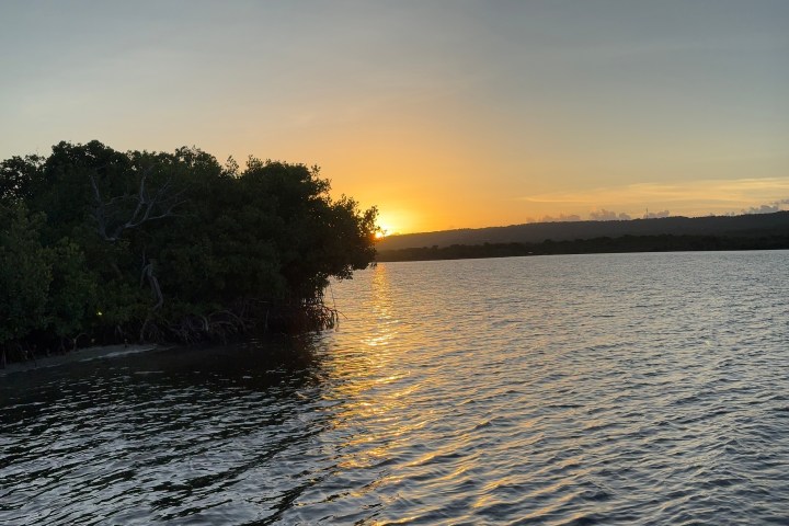Sunset over a calm lake with silhouette of trees on the left.